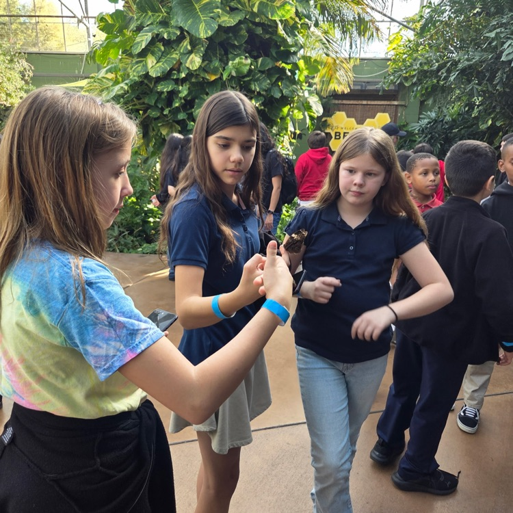 kids with butterflies 