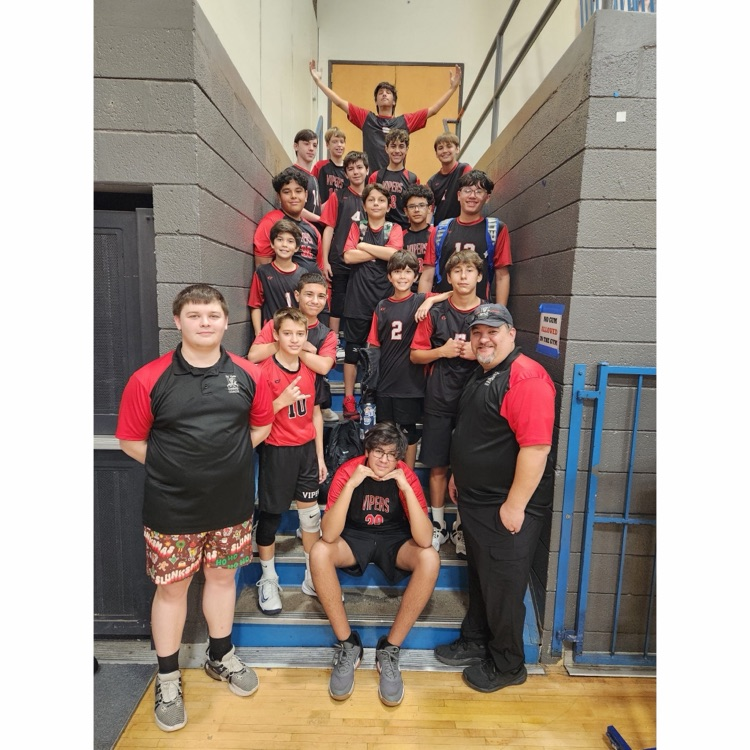 boys volleyball team