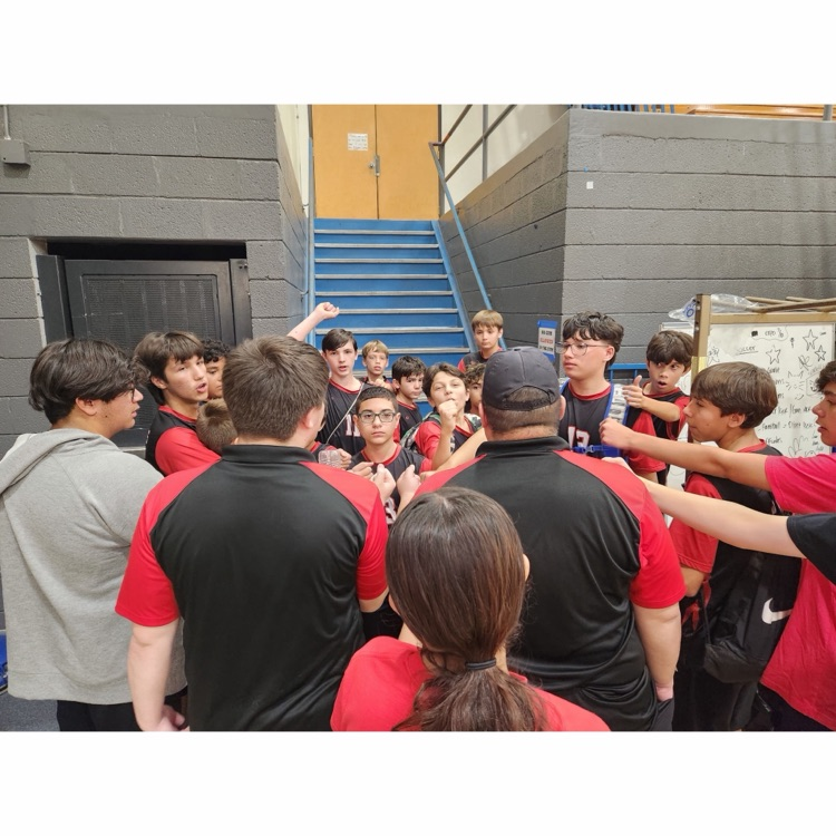 boys volleyball team