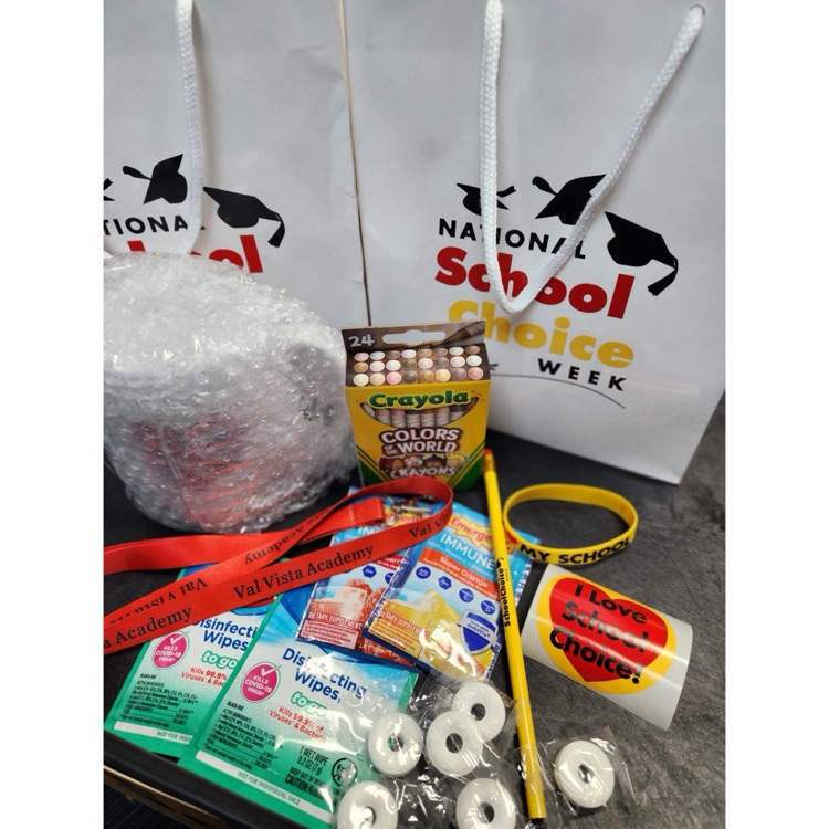 school choice merchandise