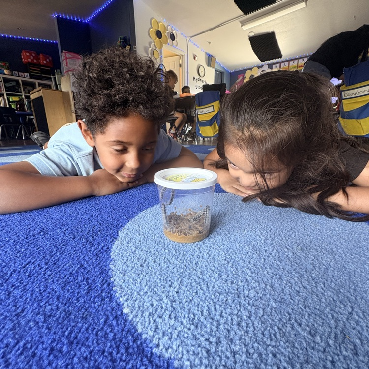 kids with caterpillars