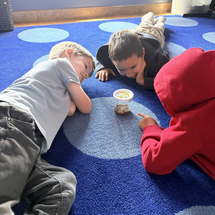 kids with caterpillars