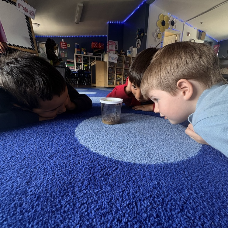 kids with caterpillars