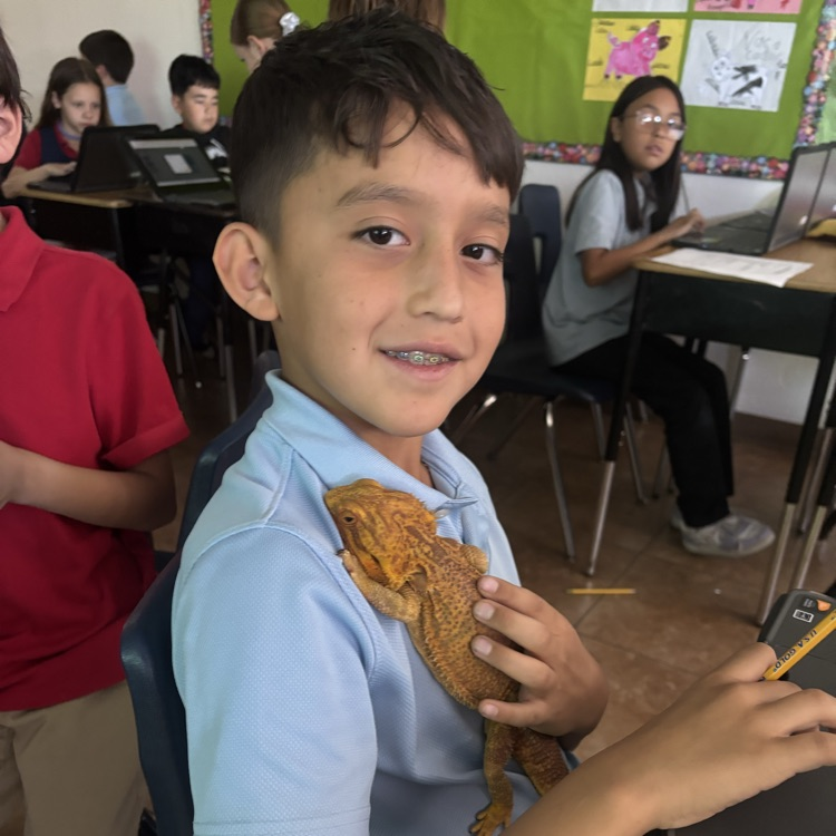 child with lizard 