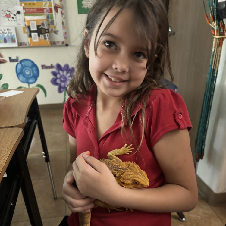 child with lizard
