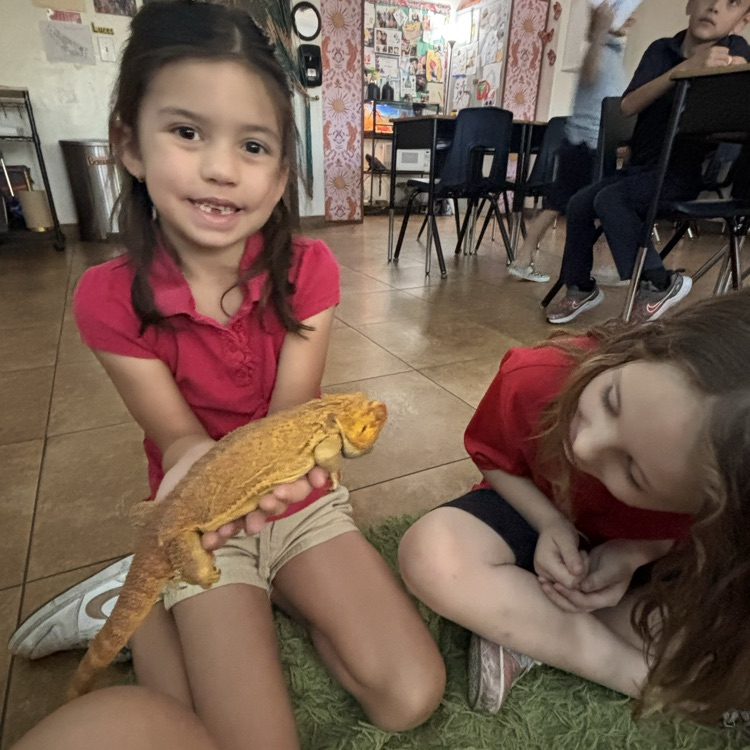 child with lizard 