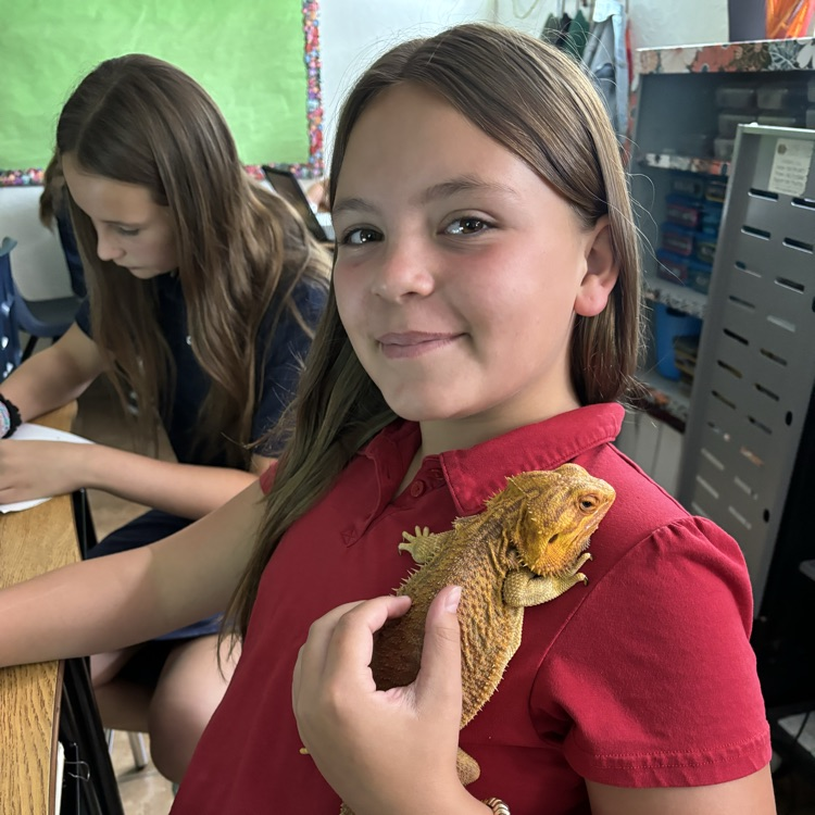 child with lizard 