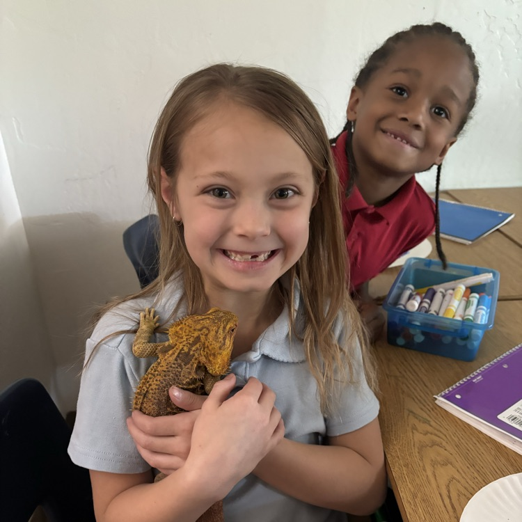 child with lizard 