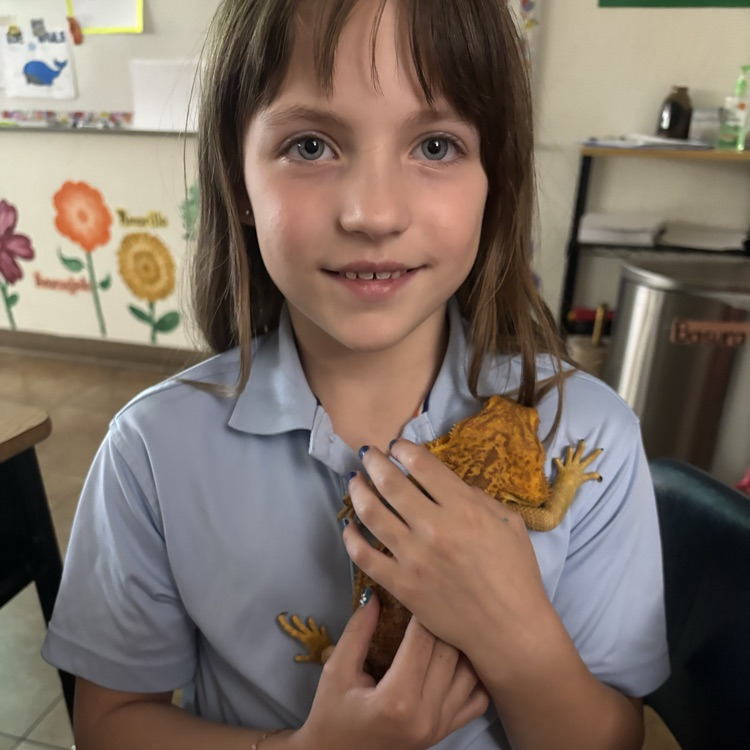 child with lizard 