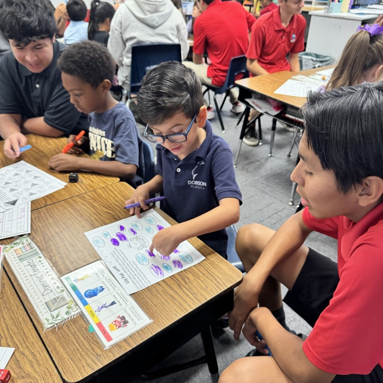 buddy classrooms 