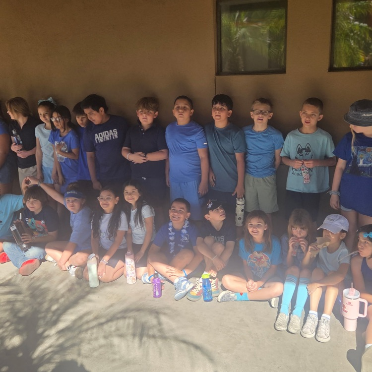blue team