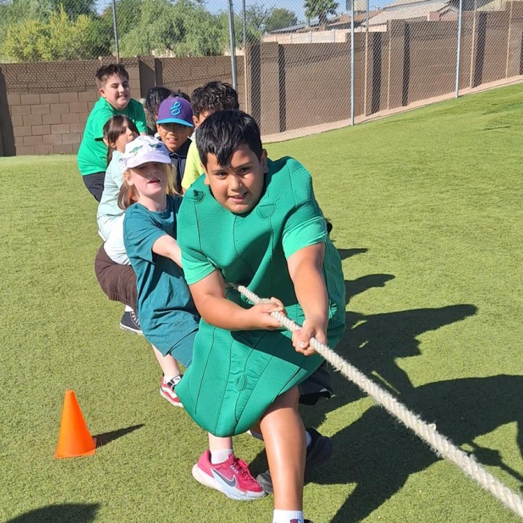 tug a war