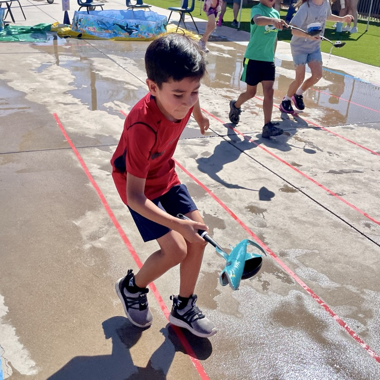 shark race