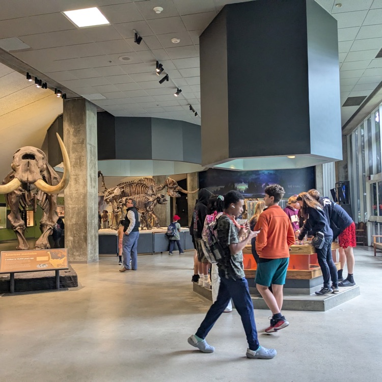 museum