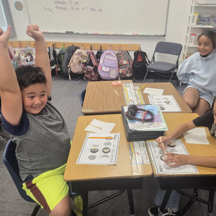 moon phase activity