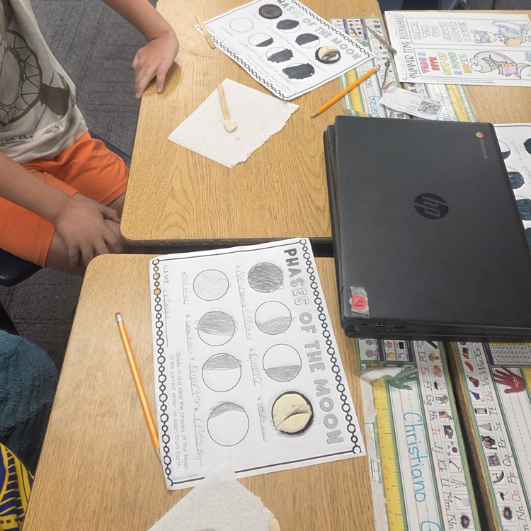moon phase activity