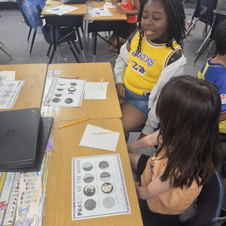 moon phase activity