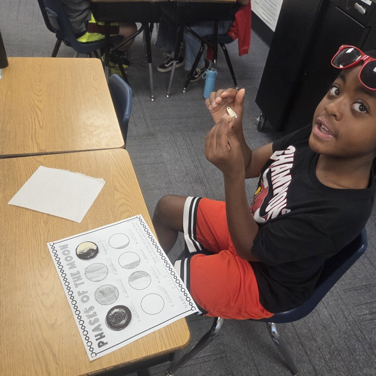 moon phase activity