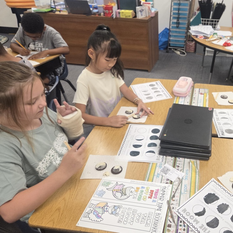 moon phase activity