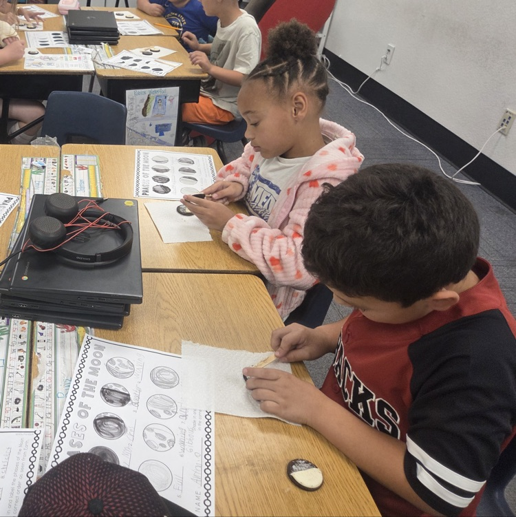 moon phase activity