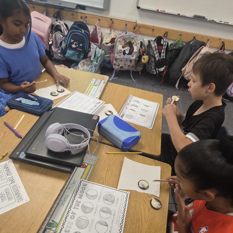 moon phase activity