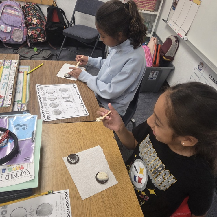 moon phase activity