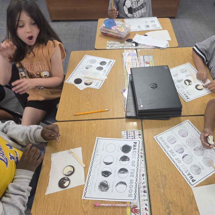 moon phase activity