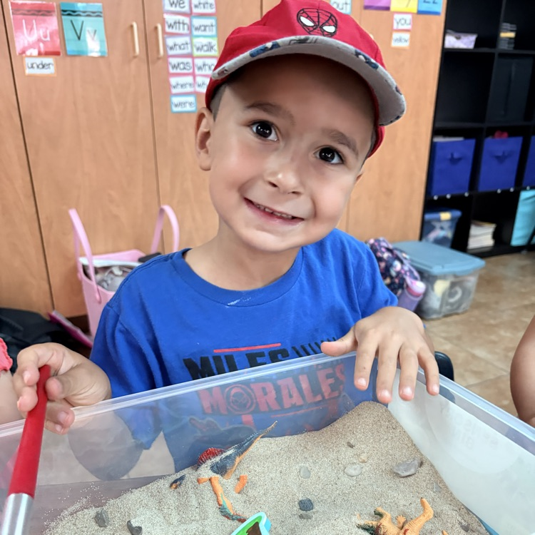 sand box 
