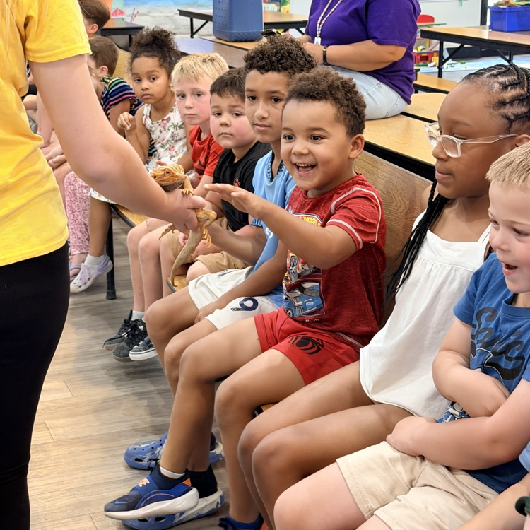 jungle Jill