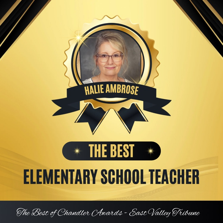 best elementary school teacher 