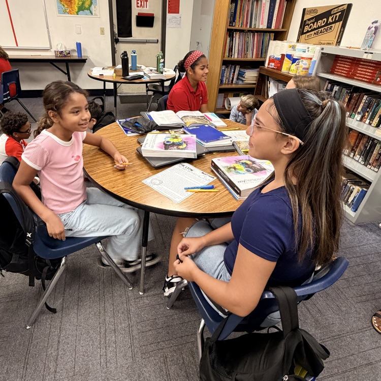 buddy classrooms