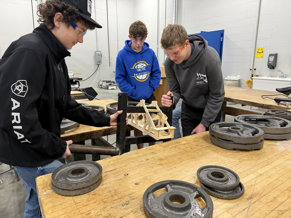 Students working on bridges
