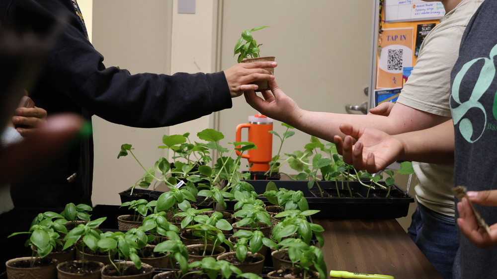 Two hands exchange a small potted plant over a table filled with green seedlings in BSA's entry atrium. 