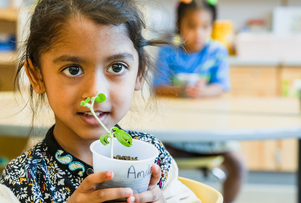 Student holding a plant