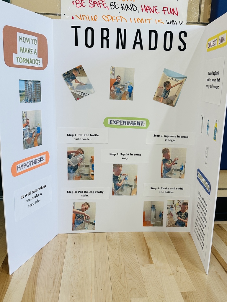 Science Fair