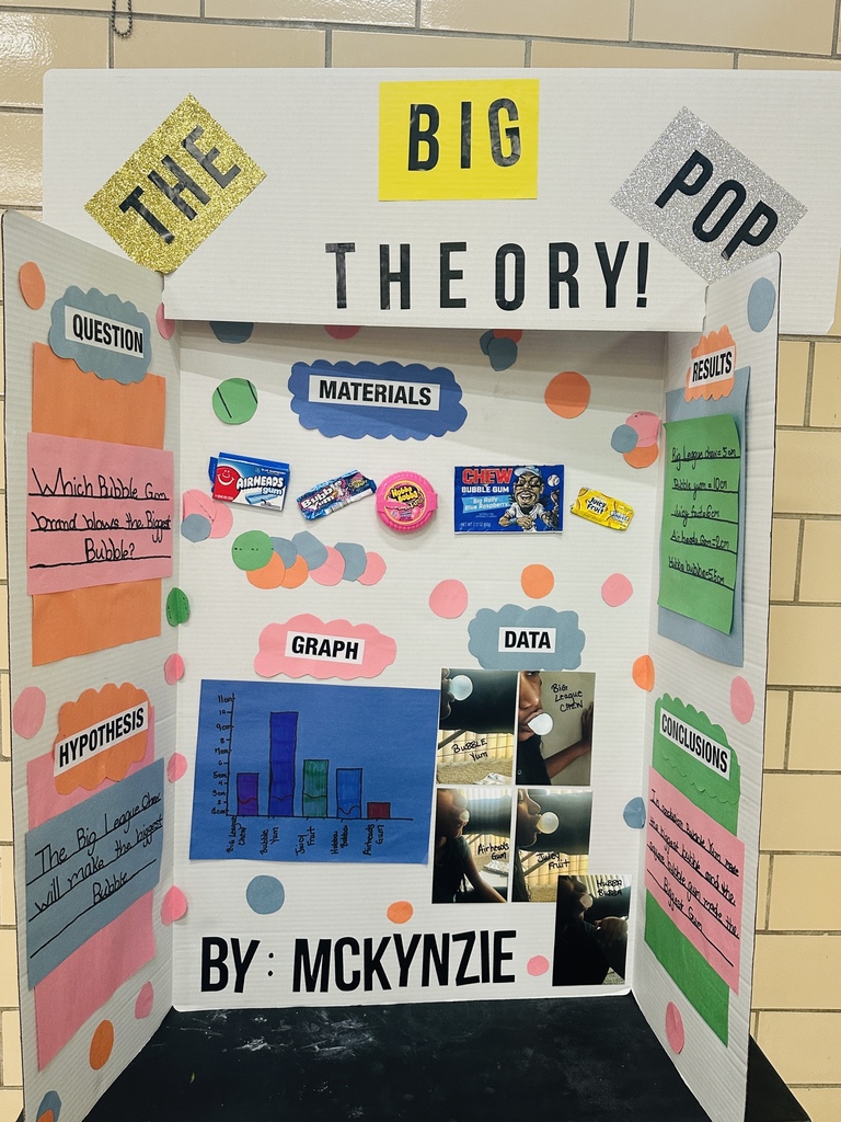 Science Fair