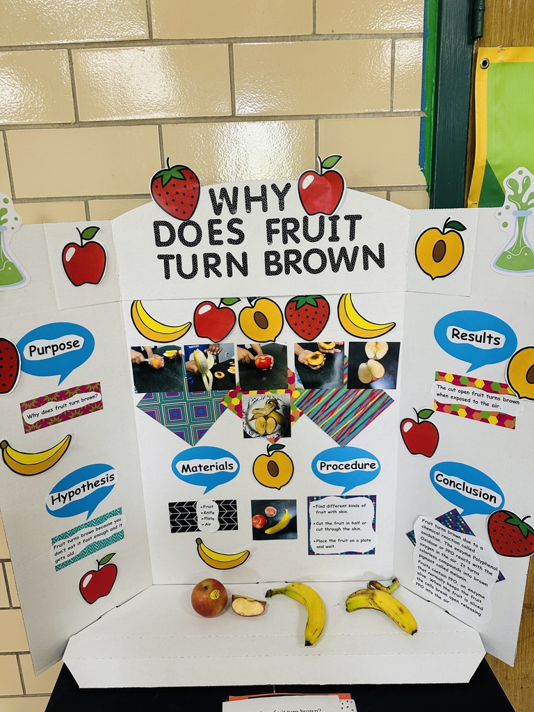 Science Fair