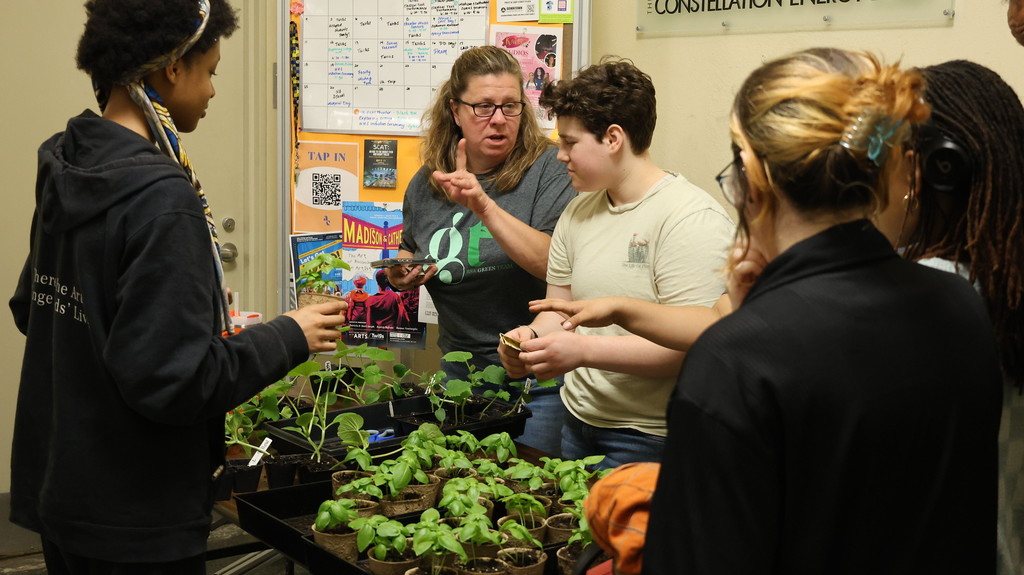 BSA students buy and sell seedlings on neighborhood cleanup day.