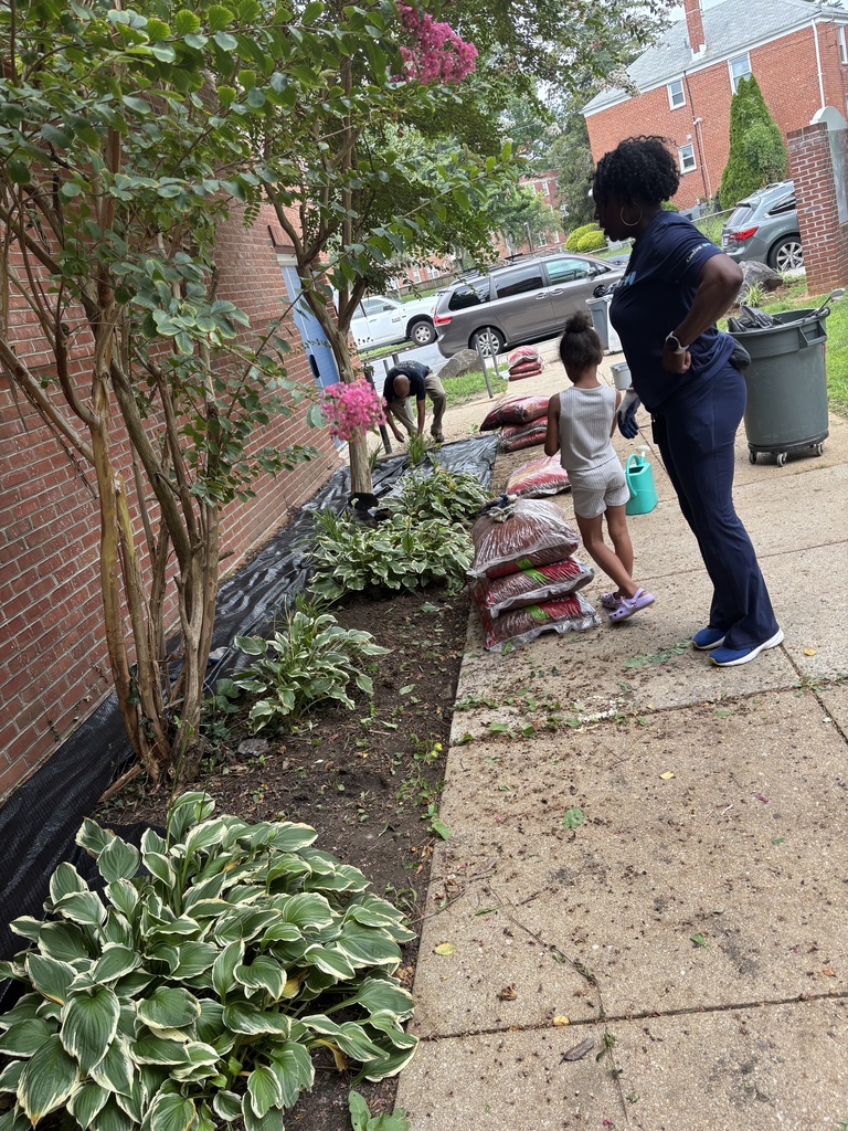 Revitalization Project with CareFirst Volunteers