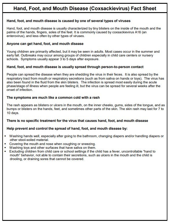 HFMD Fact Sheet
