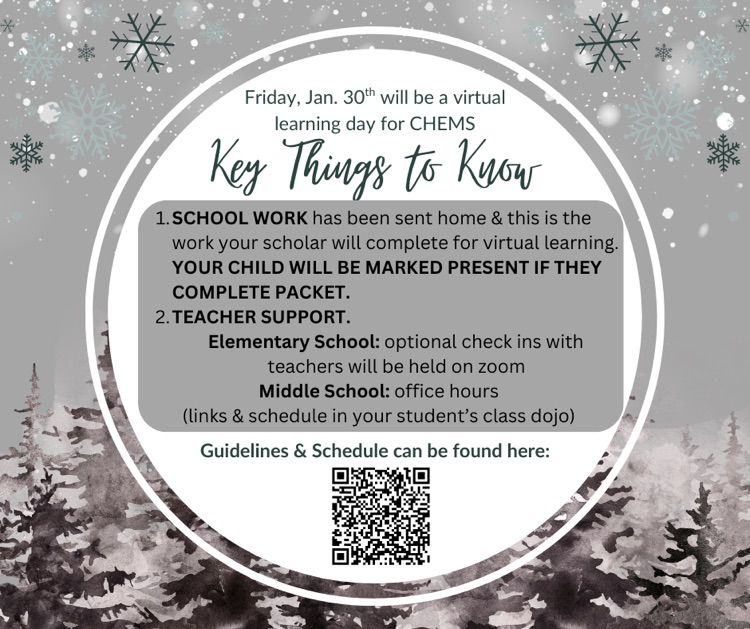 virtual learning flyer 