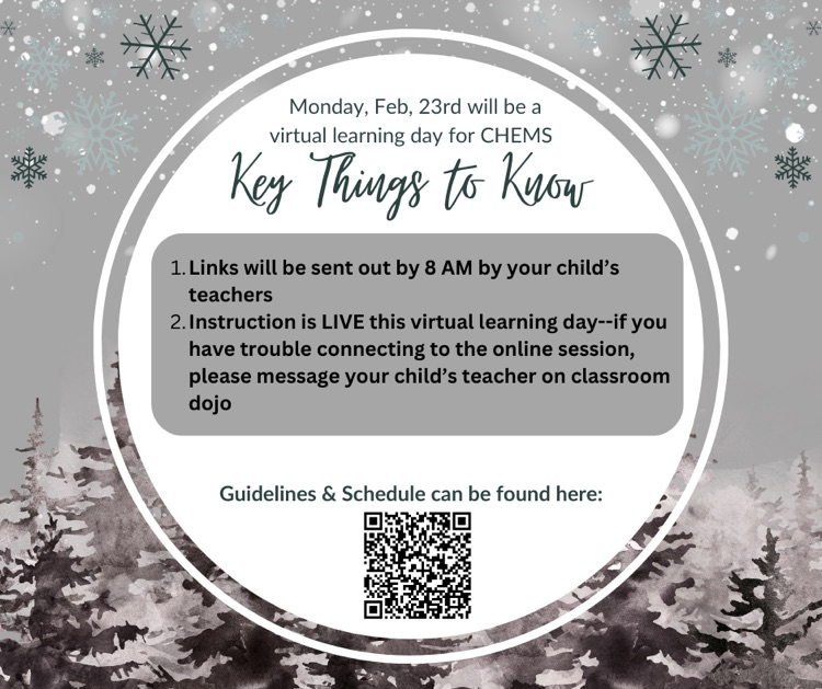 virtual learning day info