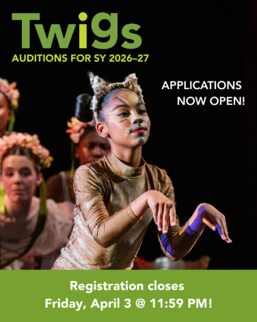 TWIGS applications open flyer 2026