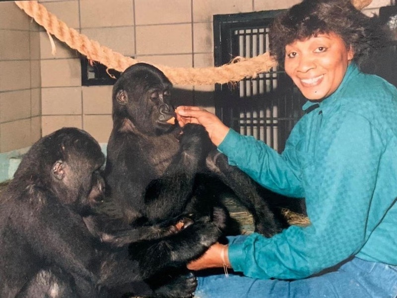 Mary J. Wilson with two juvenile gorillas 