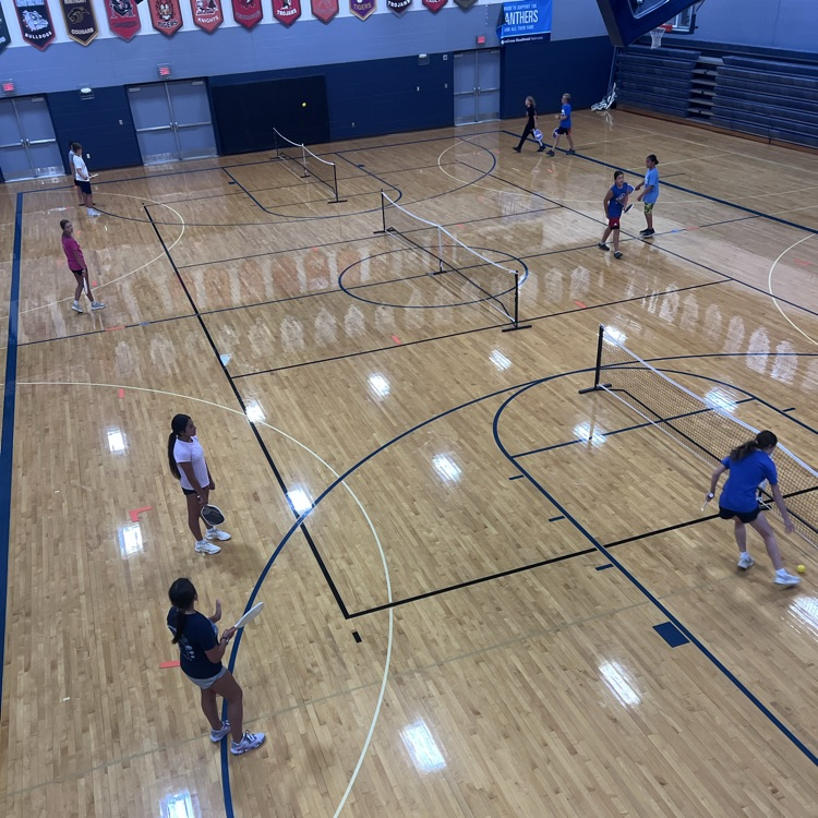 Pickleball