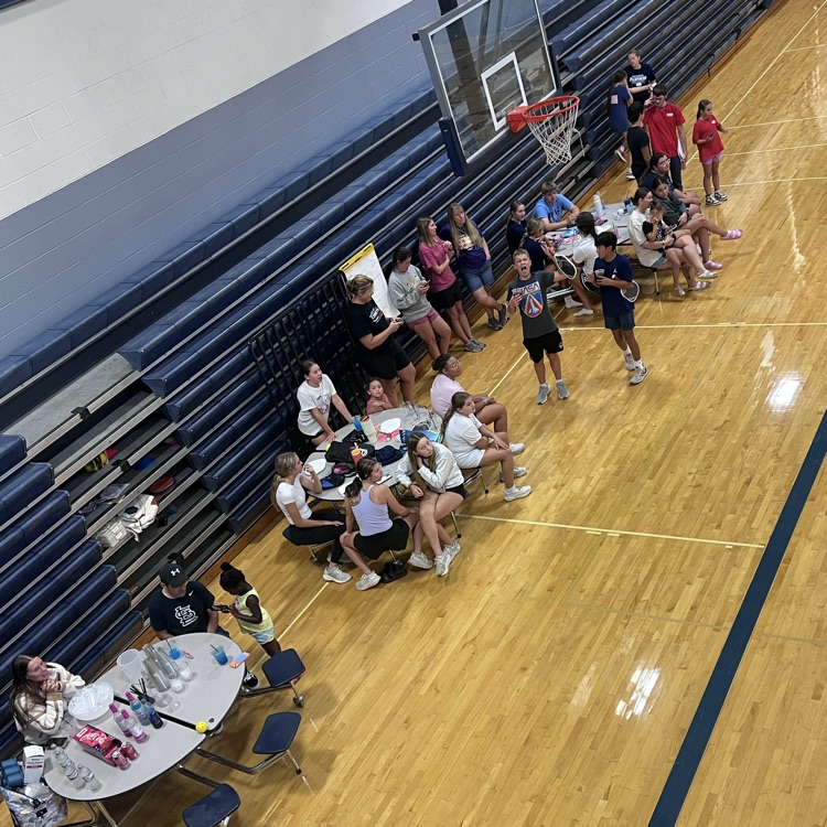 Pickleball