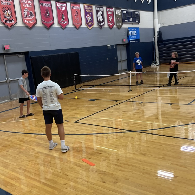 Pickleball