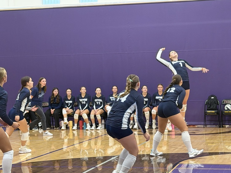 Lady Panther Volleyball at TH Tournament