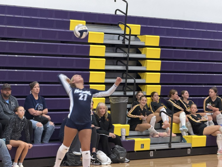 Lady Panther Volleyball at TH Tournament