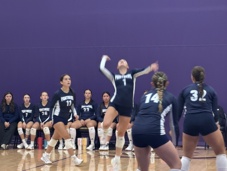 Lady Panther Volleyball at TH Tournament